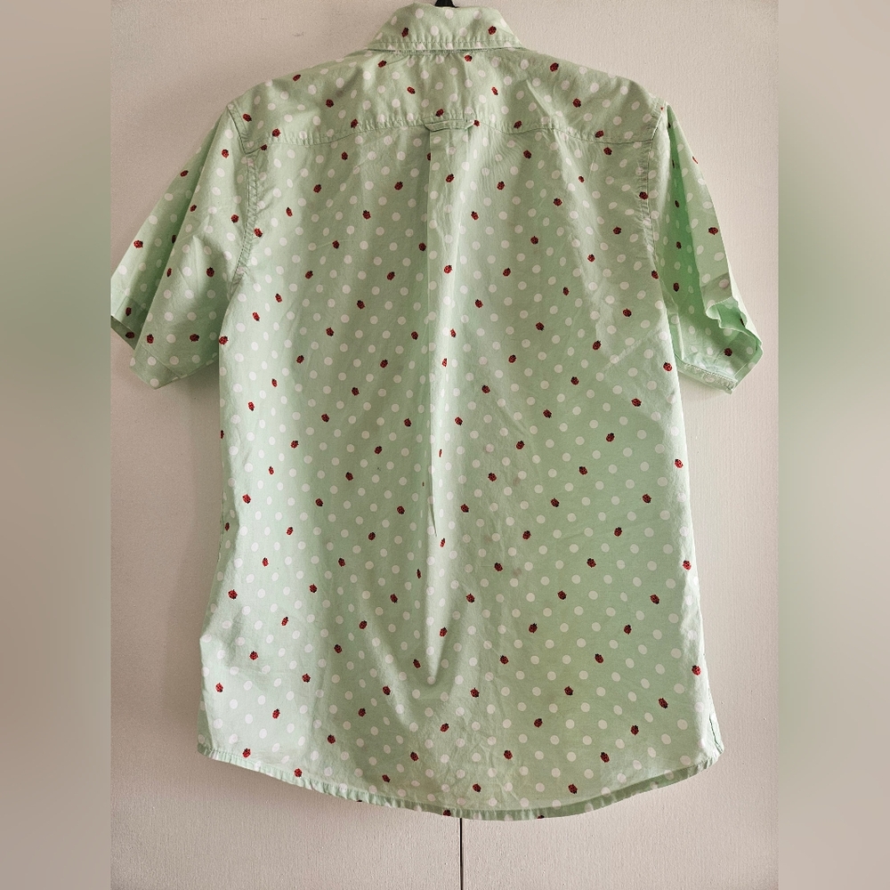 LAND'S END Men's Shirt Short Sleeves Button up Casual Sage with Lady Bugs Size S - Picture 4 of 8